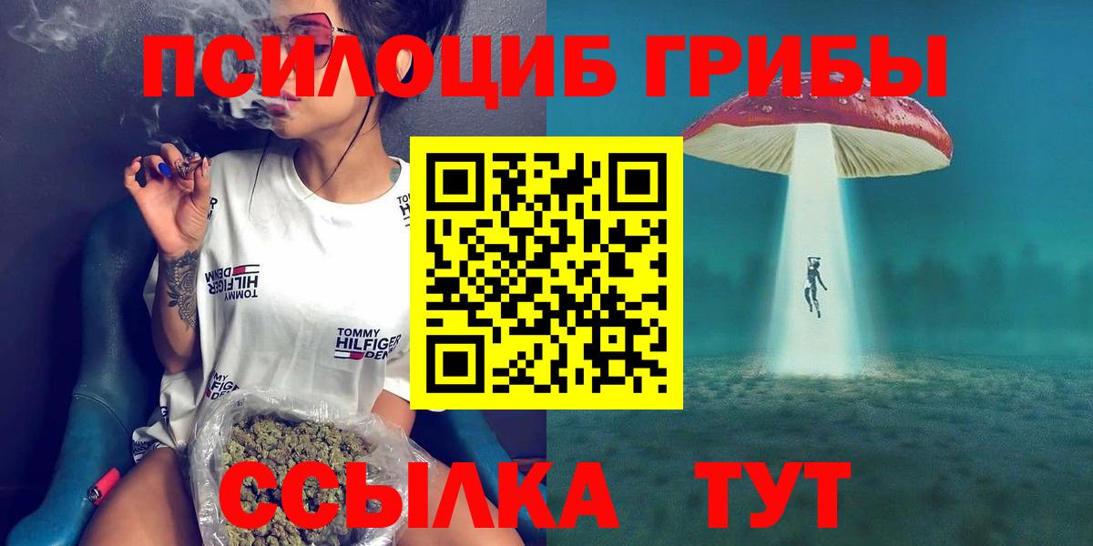 Псилоцибиновые грибы мицелий  Вход с VPN  Кстово 