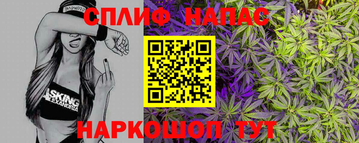 Шишки марихуана план  Вход с VPN  Кстово  Конопля ГИДРОПОН  Шишки марихуана марихуана 